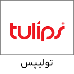 تولیپس