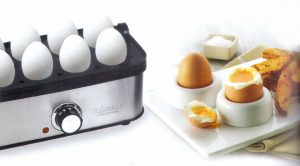 تخم مرغ پز دلمونتی مدل DL685
