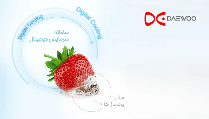 قیمت ساید بای ساید دوو