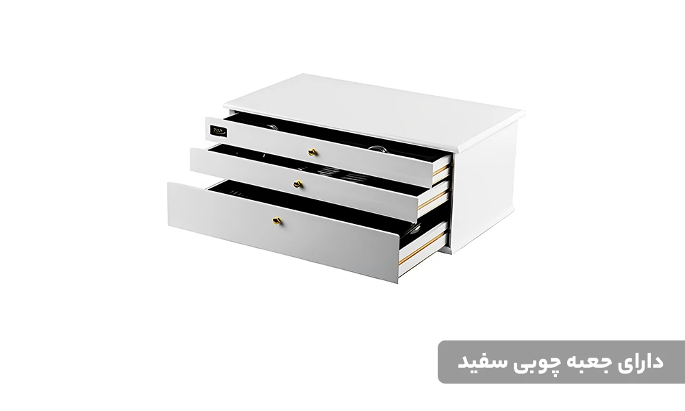 سرویس قاشق و چنگال ناب استیل 116 پارچه مدل ونیز استیل براق جعبه چوبی سفید